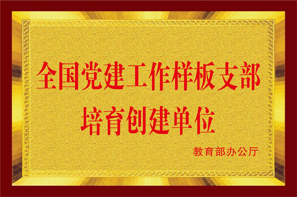 做爱视频