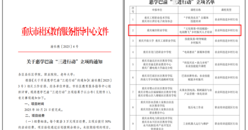 做爱视频